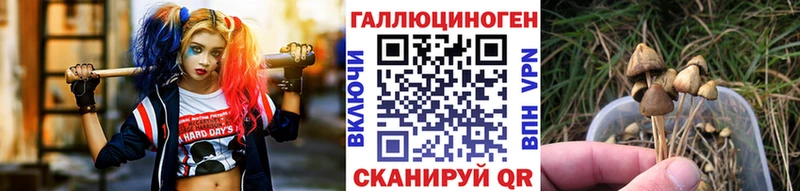 цены   Пермь  mega как войти  Галлюциногенные грибы мухоморы 